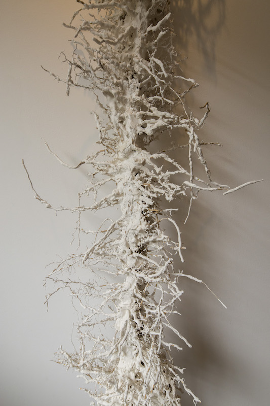 EN DIRECT / Exposition LE SOLEIL BRILLE ENTRE LES PAROIS AMOVIBLES Collectif WALC (Wolf Cuyvers - Alethia Lecoq) Dijon septembre 2020.