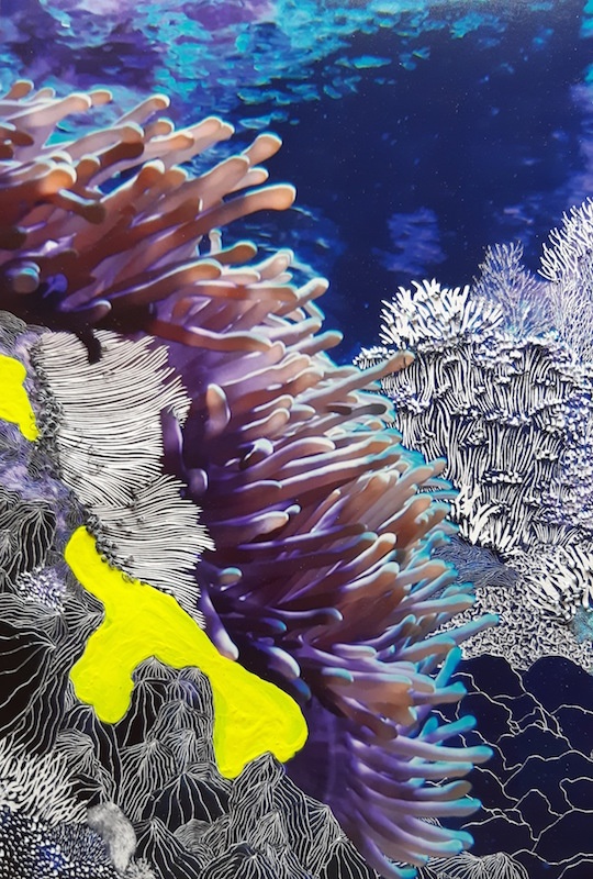 Raphaëlle Peria, Heliofungia, 2020 Courtesy artiste et galerie Papillon Paris