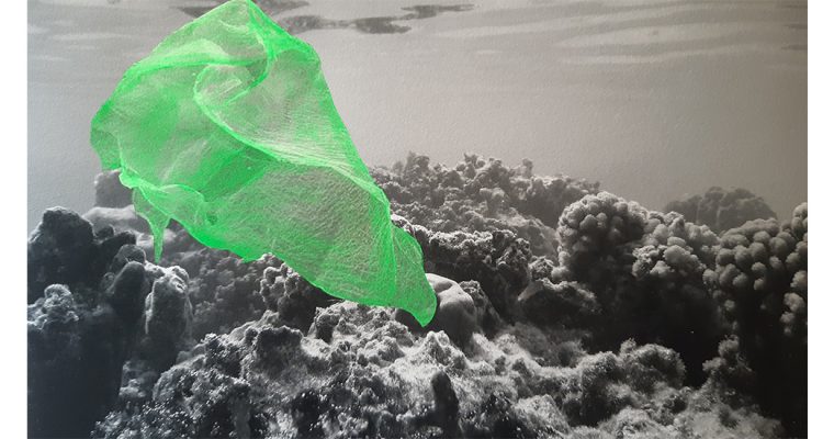 RAPHAËLLE PERIA, FLUO BLEACHING