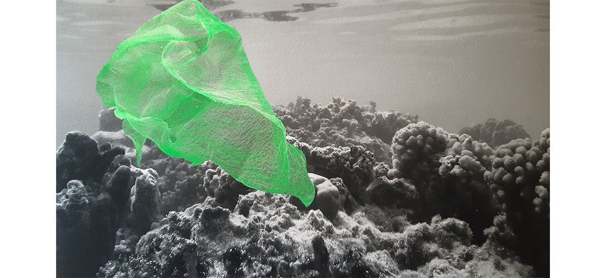 RAPHAËLLE PERIA, FLUO BLEACHING