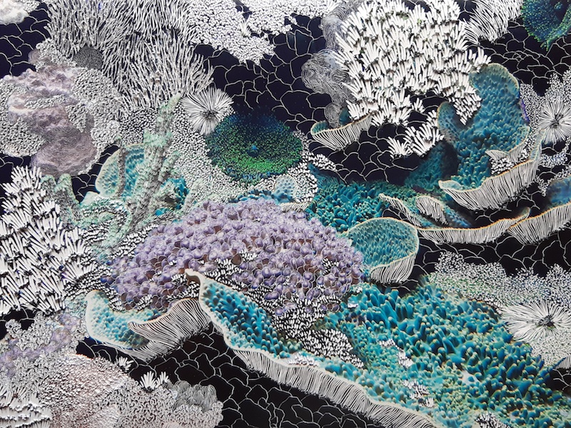 Raphaëlle Peria, Montipora, 2020 Courtesy artiste et galerie Papillon Paris