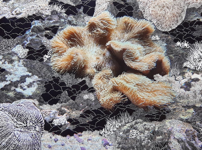Raphaëlle Peria, Sarcophyton, 2020 Courtesy artiste et galerie Papillon Paris