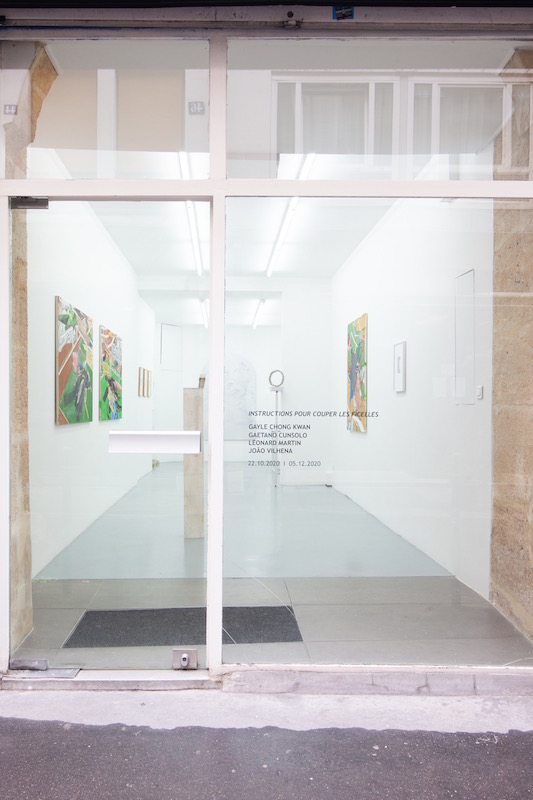 vue de l'exposition « Instructions pour couper les ficelles » avec Gayle Chong Kwan, Gaetano Cunsolo, Léonard Martin, João Vilhena jusqu'au 05 décembre 2020, Galerie Alberta Pane Paris