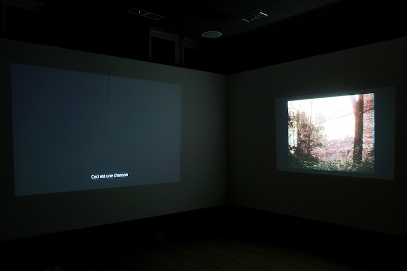 vue de l'exposition « Si c'est pour les gens, ça doit être beau », dit-elle, de Jeremiah Day, centre d'art Le Lait, 2020, Albi (FR), photo Phœbé Meyer