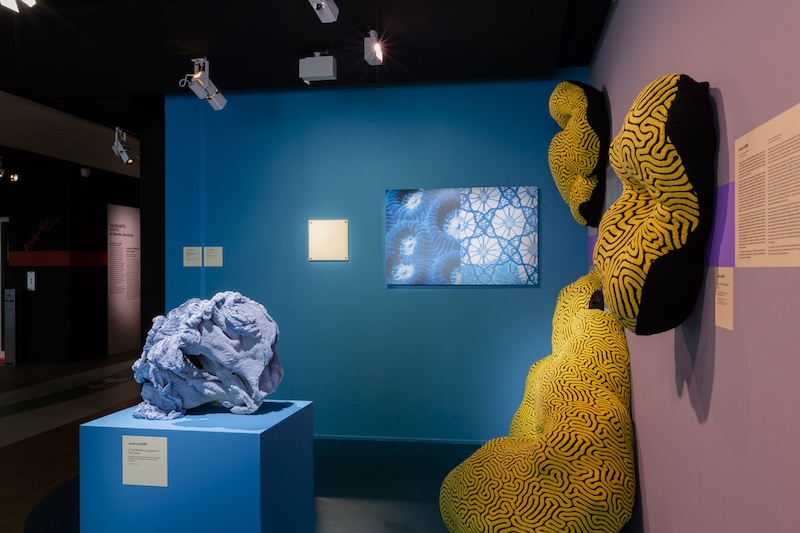 Jérémy Gobé, Corail Artefact. Vue d'exposition « Courants Verts, Créer pour l'environnement », du 16 septembre au 31 janvier 2021, espace Fondation EDF Paris - Commissariat Paul Ardenne