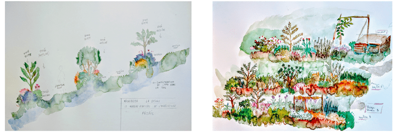 Création de terrasses agroforestières. Le Nouveau Ministère de l’Agriculture pour le Cercle de la régénération, dessin préparatoire, 2020 ©Le NMA