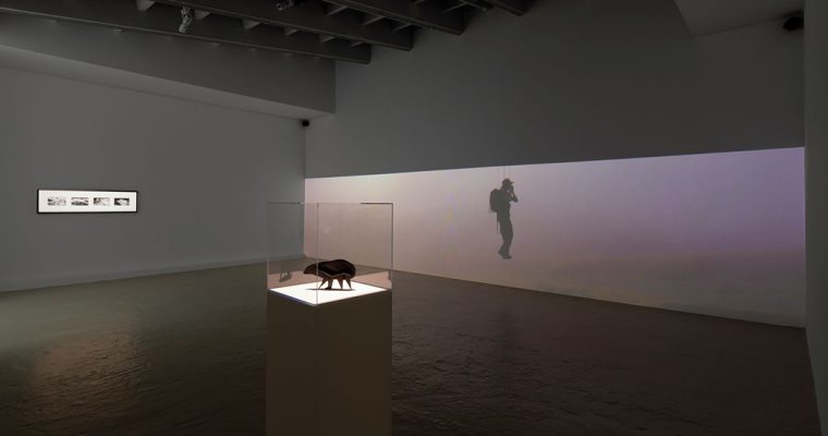 ABRAHAM POINCHEVAL : UNE MARCHE AUX FRONTIÈRES DE L’IMAGINATION