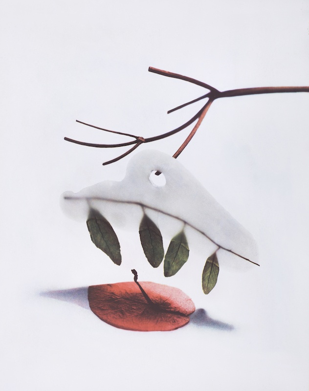 Bertrand Hugues, 2020JBBH02, 2020, tirage Fresson au charbon direct, 75,5 x 59,5 cm 5 ex + 2 E.A.