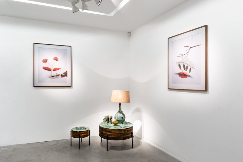 Vue d'exposition Seconde Nature, Jacques Blin et Bertrand Hugues, Galerie Eric Mouchet, Paris