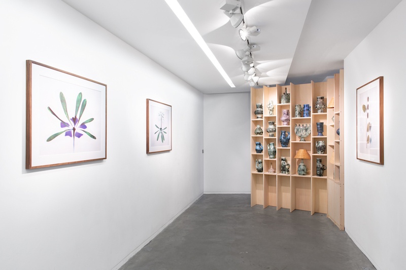 Vue d'exposition Seconde Nature, Jacques Blin et Bertrand Hugues, Galerie Eric Mouchet, Paris