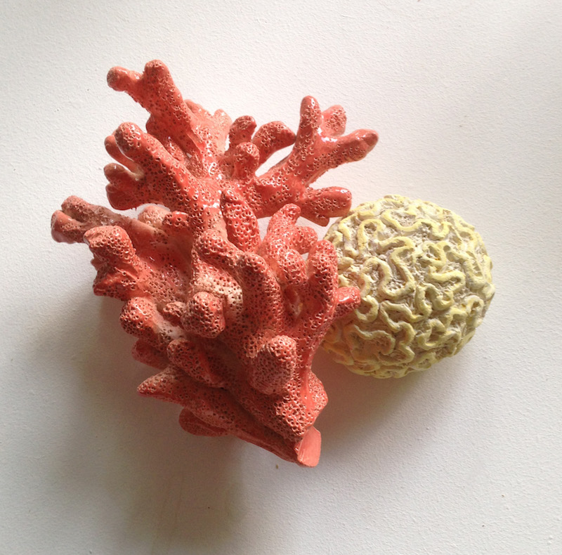 Laurie Karp, Coraux (specimens), faïence, émaille, engobe, cire. © photo : L. Karp