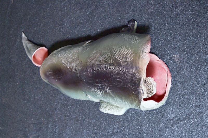 Laurie Karp, Passage : queue de poisson, faïence émaillée, 15 x 88 x 44 cm. © photo : J-M Sicard
