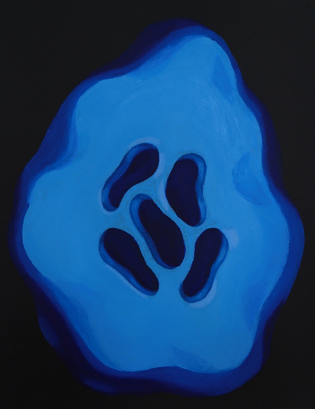 Elvira Voynarovska, Holobiontes, pastels à l’huile sur papier, 50x65cm