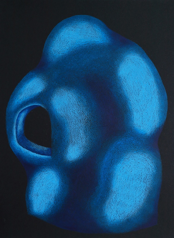 Elvira Voynarovska, Holobiontes, crayons sur papier, 21x28cm