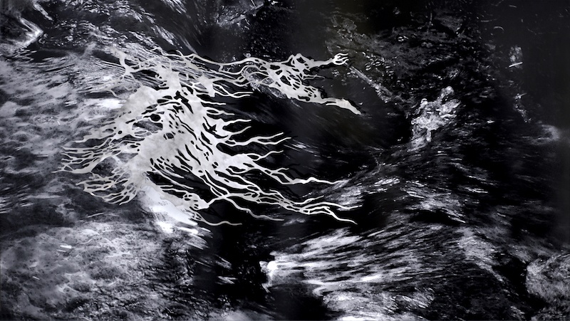 Sylvie DE MEURVILLE Cascade arbres rouges 2 Photographie contrecollée sur dibond et découpe inox - 2020 150 cm x 80 cm Photo : © De Meurville