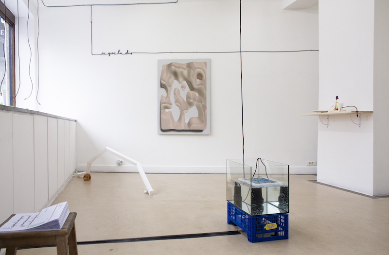 Vue de L'exposition que j'aurais aimé vouloir faire, jusqu'au 20 février 2021 ©️Marcos Uriondo