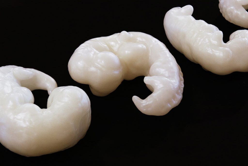 Colin G., Sweet sixteen #2, sculptures d'embryons au stade 16 de Carnégie, en paraffine et cire d'abeille, 2019
