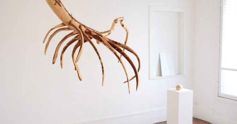 LÉLIA DEMOISY : DES SCULPTURES, HYBRIDES DE NATURE