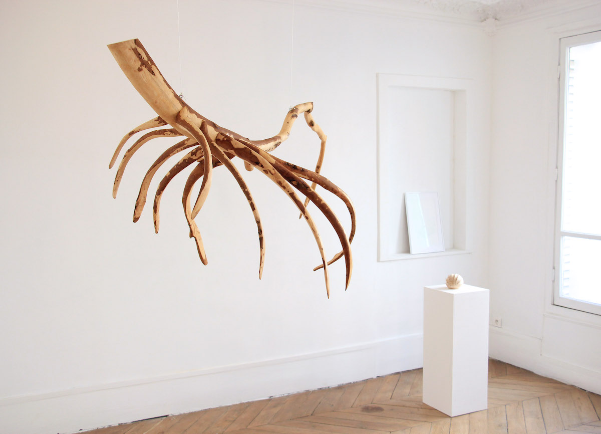 LÉLIA DEMOISY : DES SCULPTURES, HYBRIDES DE NATURE