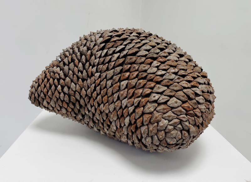 Lélia Demoisy, Chrysalide, 2018 Pomme de pin et feuille d'argent 22 x 40 x 25 cm