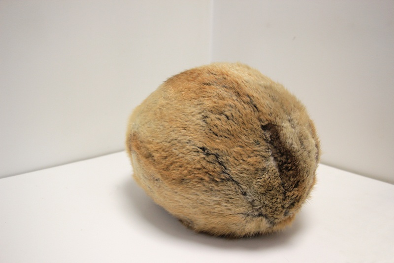 Lélia Demoisy, Lepus, 2019 Peau de lapin et bois de bouleau 25 x 35 x 22 cm