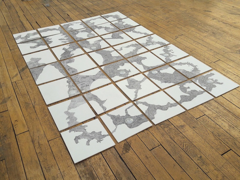 Nathalie Borowski, Tectonique des plaques – Dessin à l’encre sur bois – dimensions variables – Vue d’exposition l’Orangerie de Cachan - 1er Prix du Jury Biennale de Cachan 2018.