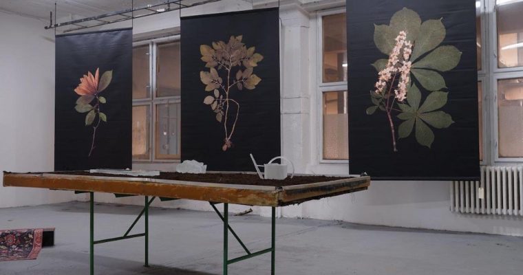 MARTA FIŠEROVÁ CWIKLINSKI, FOURTH GREENHOUSE