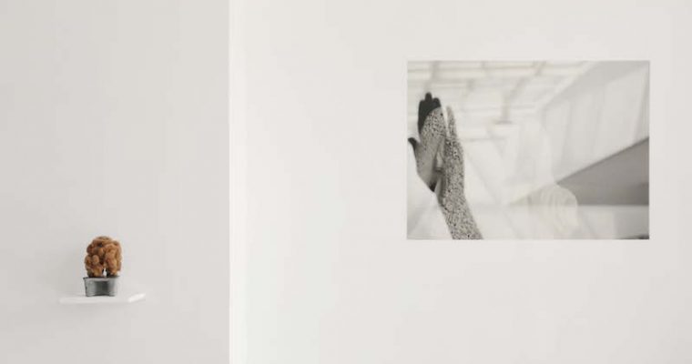 CAMILLE PRADON, METAPHORA, PRÉLUDE