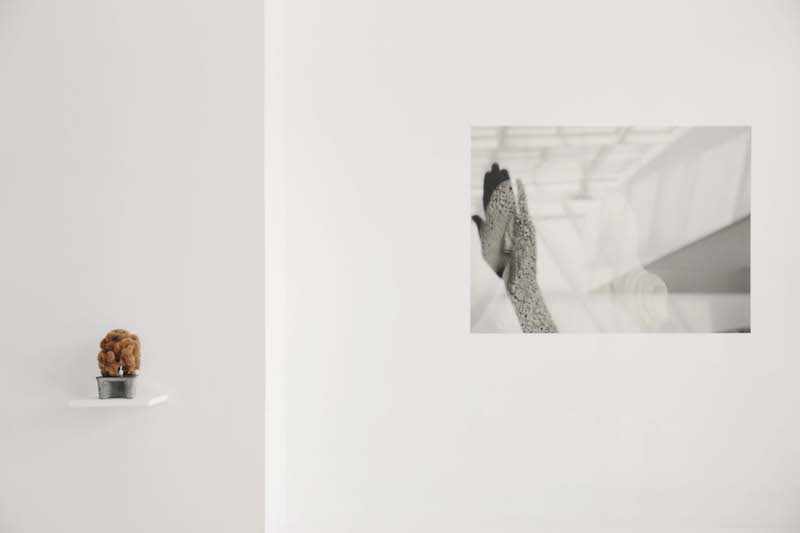 CAMILLE PRADON, METAPHORA, PRÉLUDE