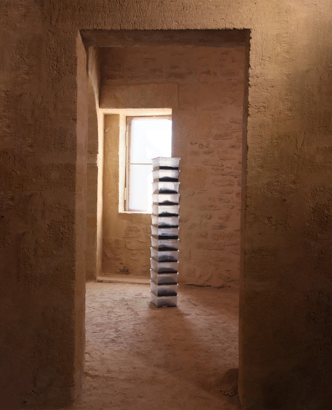 Won Jy, Columbarium III, Boîte en plastique, terreau universel et cadavre de pigeon 355 × 260 × 140 mm (chaque), 2019