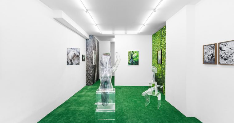 ANOUK KRUITHOF, TRANS HUMAN NATURE
