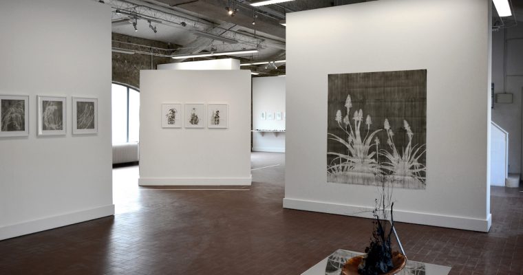 FABRICE CAZENAVE, ANTIPOLIS