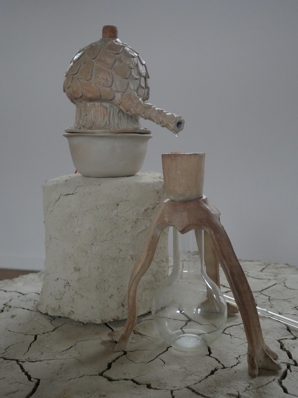 Tiphaine Calmettes, Par le chant grondant des vibrations autour, exposition au Centre international d’art et du paysage de l’île de Vassivière, 2020 © Centre international d’art et du paysage. Droits réservés ADAGP.