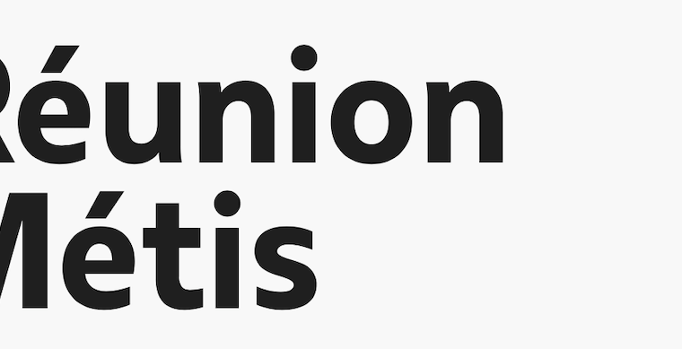 APPEL À PARTICIPATION – FESTIVAL RÉUNION MÉTIS 2021