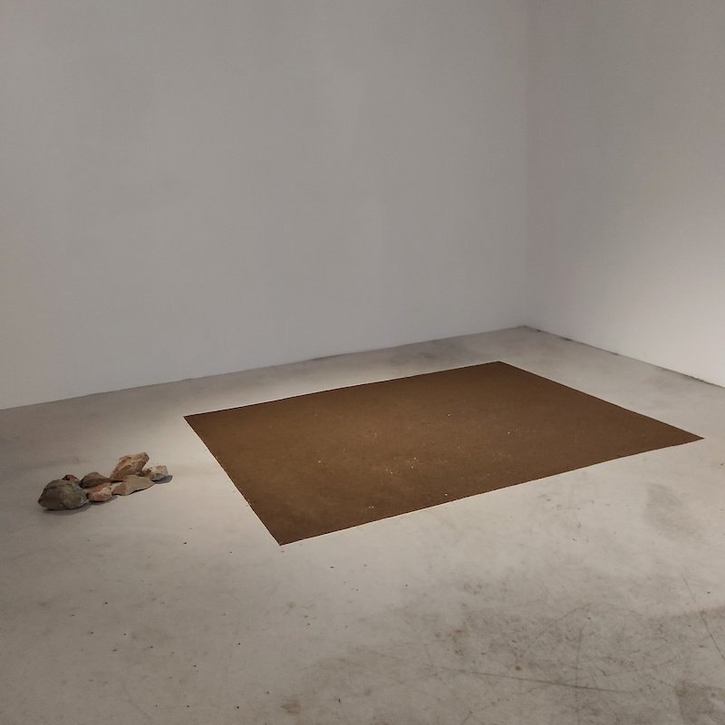 Honky-Tonk-Fields_Edith-Magnan_Les-sols-que-je-suis_intervention-in-situ_2021_credit-photo-TENDERFLUID