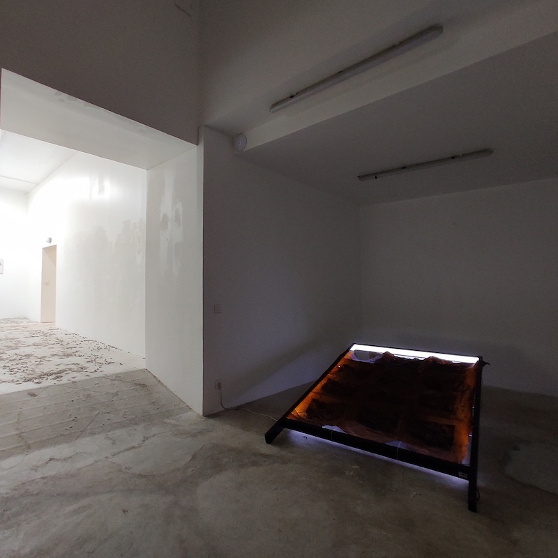 Honky-Tonk-Fields_vue-d-exposition-2__Julia-Gault-Celine-Pelce-et-Thr34d5_credit-photo-TENDERFLUID