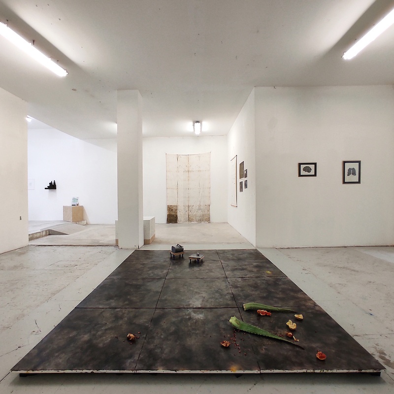 Honky-Tonk-Fields_vue-d-exposition-3_Guillaume-Belveze-x-Pascal-Mouisset-x-Alexandre-Paty-+-guests-Louise-Parnel-Jade-Tang_credit-photo-TENDERFLUID