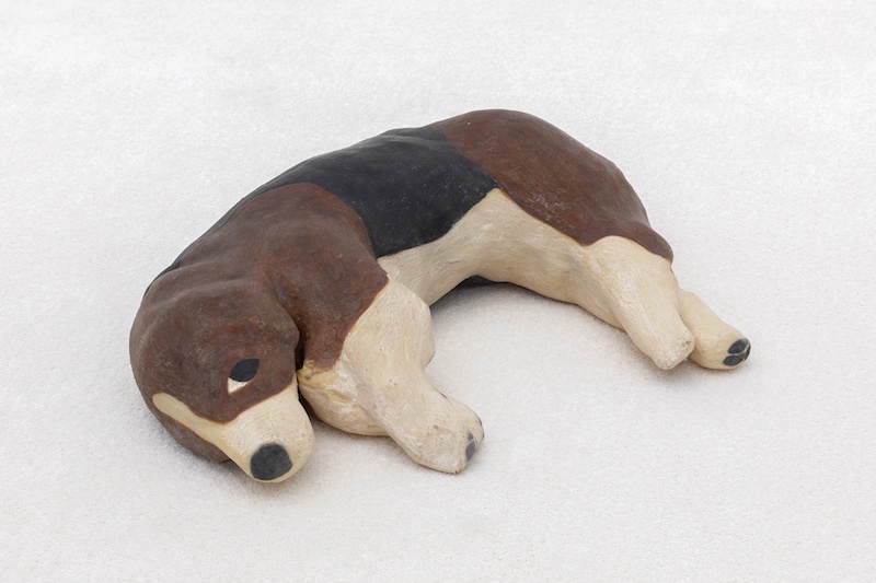 Samya Moineaud, Chien gonflable, 2019, latex gonflable, 35 x 75 cm. © Nicolas Brasseur