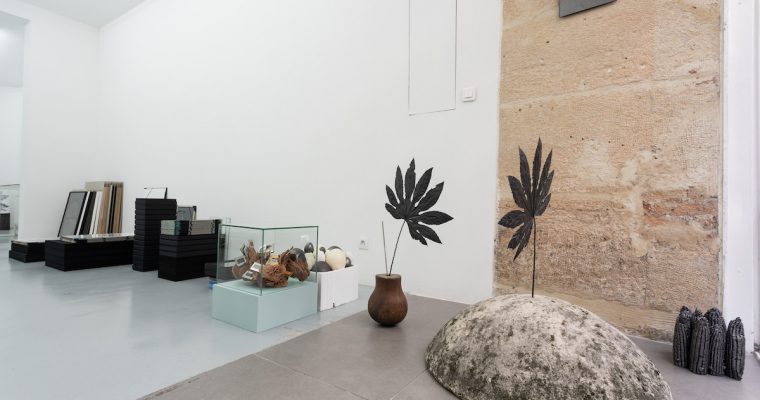 MARIE DENIS, ALMA HERBARIUM