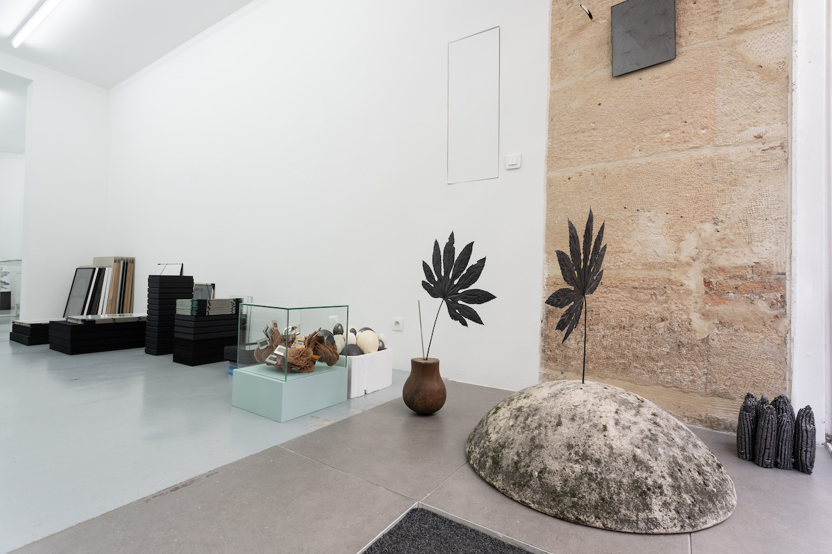 MARIE DENIS, ALMA HERBARIUM