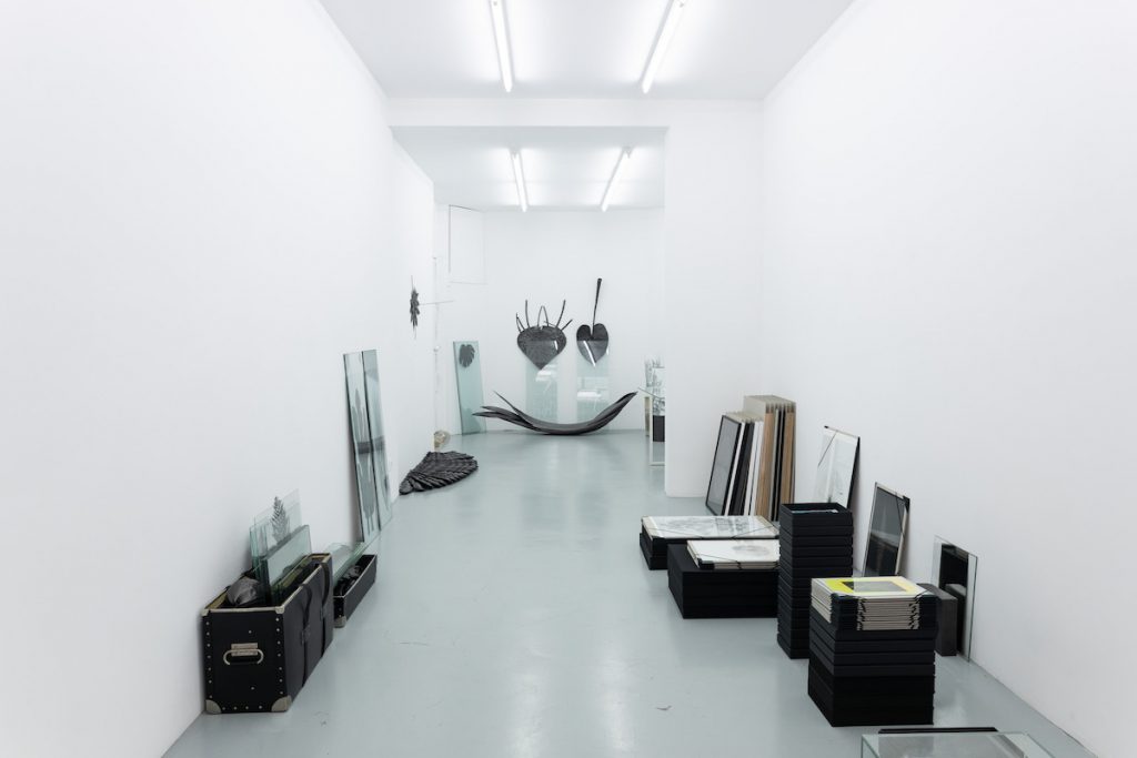 Exposition personnelle de Marie Denis, Alma Herbarium jusqu'au 24 juillet 2021, Galerie Alberta Pane, Paris