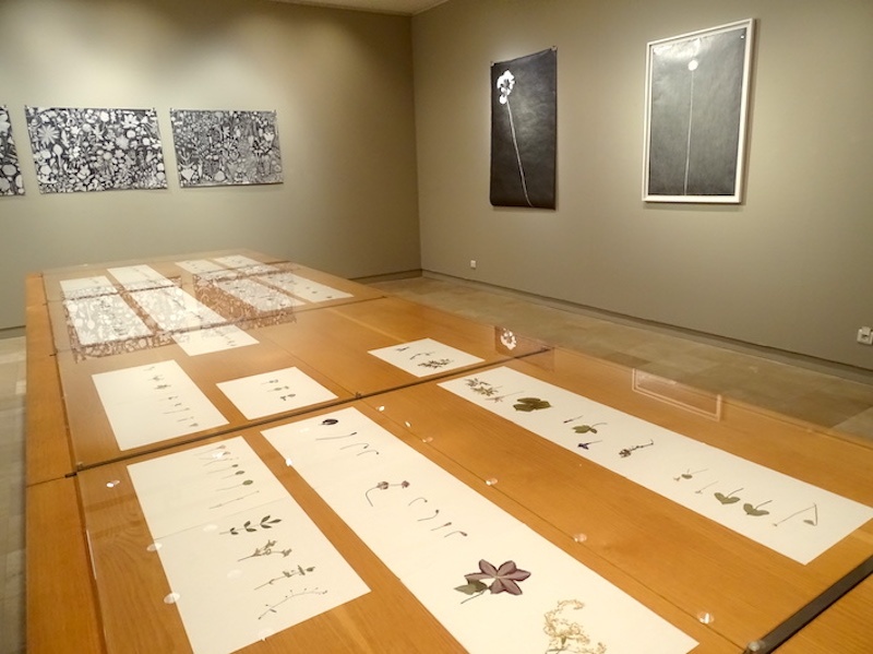Christine Crozat vue cabinet d'art graphique - Exposition Mémoires de formes, exposition personnelle de Christine Crozat : des hommages aux personnes et aux plantes rencontrés sur ses chemins Jusqu’au 19 septembre 2021, Musée de l’hospice Saint Roch à Issoudun