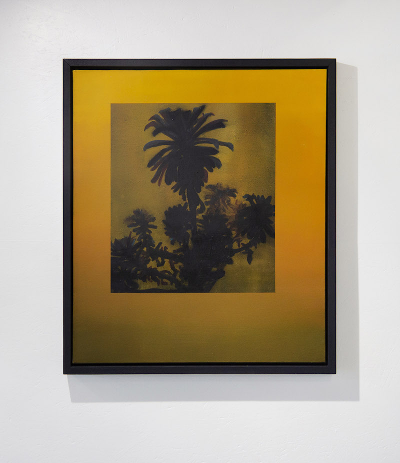 Une seule lampe éclaire la grande pièce, 2019 Vue exposition Un Morceau de nuit de Clément Davout, ) L ’ E S P A C E (, lieu-dit Rognac, Saint Arcons d'Allier