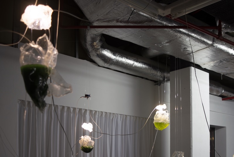 Exposition Ils Ne Veulent Pas Être Vus Anthropomorphisant des Molécules (They Don't Want to Be Seen Anthropomorphizing Molecules), Cammack Lindsey et David Lindert jusqu’au 16 octobre 2021, le CCINQ, Bruxelles