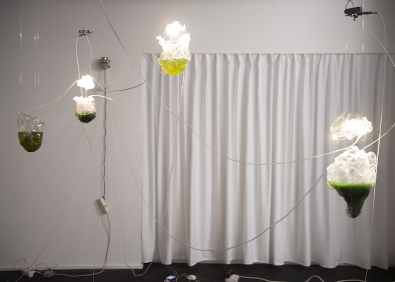 Exposition Ils Ne Veulent Pas Être Vus Anthropomorphisant des Molécules (They Don't Want to Be Seen Anthropomorphizing Molecules), Cammack Lindsey et David Lindert jusqu’au 16 octobre 2021, le CCINQ, Bruxelles