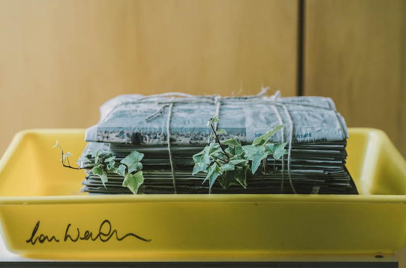 ois Weinberger, Garden, 2015, Socle en bois, bassine en polyéthylène, journaux, terre, plante rudérale, 87.5 x 54 x 38.5 cm, Collection du Fonds d’art contemporain – Paris Collections. Ed. 5/10 + 2 a.p, Courtesy Salle Principale, Paris, Crédit photo : Mahery Samiharilala