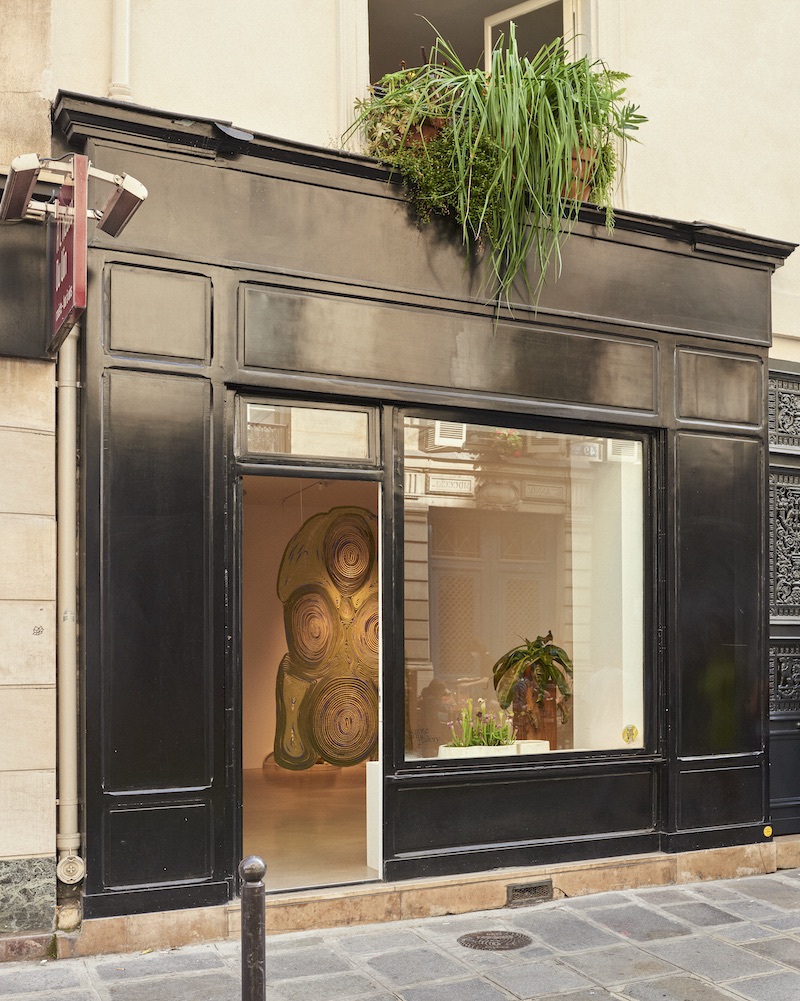 Sainte Anne Gallery © Francois Coquerel