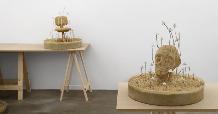HAMISH PEARCH, AMYGDALA LOST AND FOUND