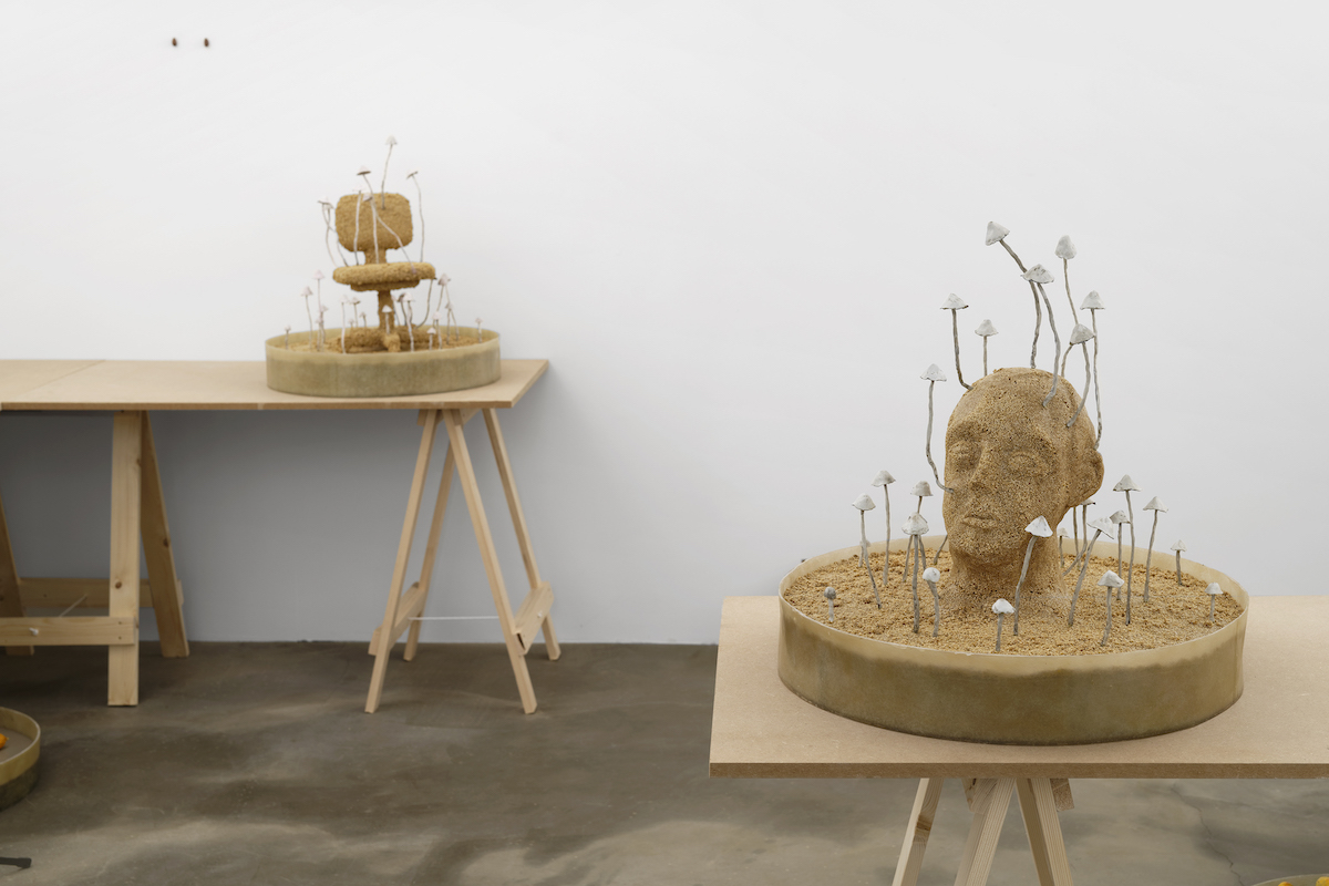 HAMISH PEARCH, AMYGDALA LOST AND FOUND