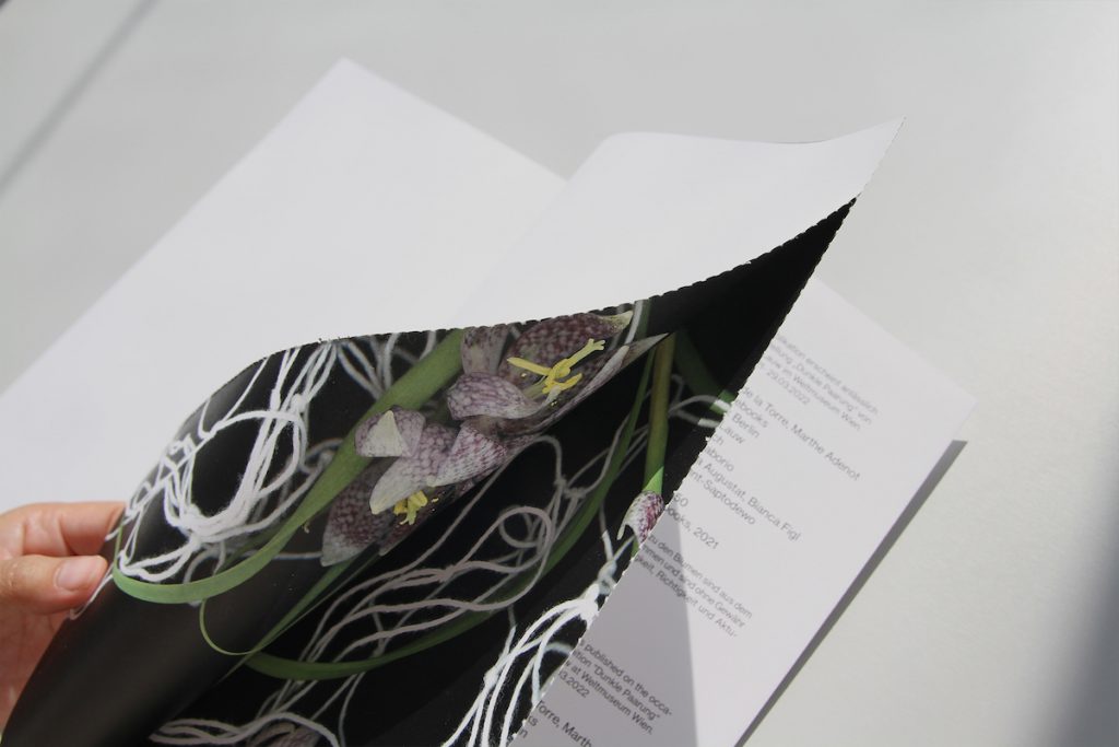 Dunkle Paarung, Wie-Yi T. Lauw. Reliure vis 30 x 22 cm, reliure japonaise, perforation, 50 exemplaires, signés, numérotés, backbonebooks 2021